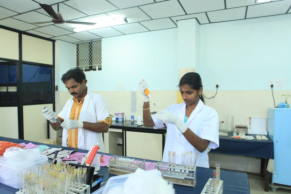 College Image 3